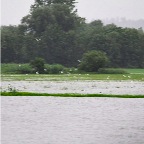 025 - überschwemmte Wiesen